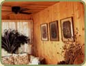 ponderosa pine small image