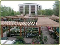 red cedar garden icon