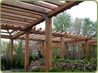 red cedar garden icon