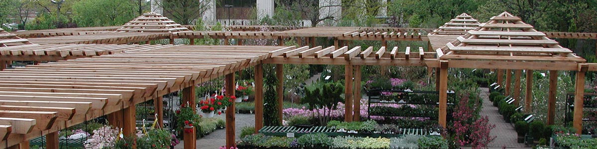 Western Red Cedar Timbers Installed In A Garden Center