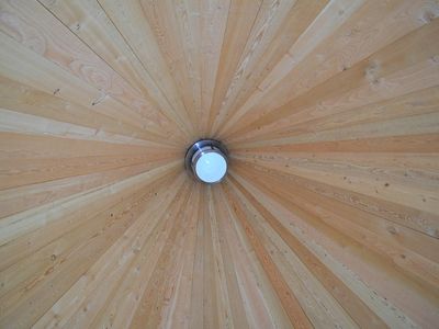 Douglas Fir Ceiling Paneling