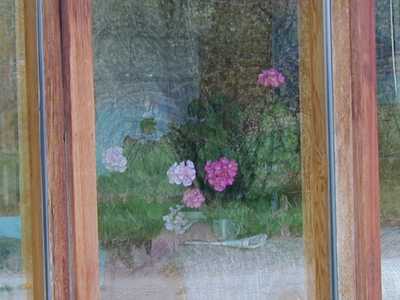 Weathered Western Red Cedar Siding Window Trim Without Stain